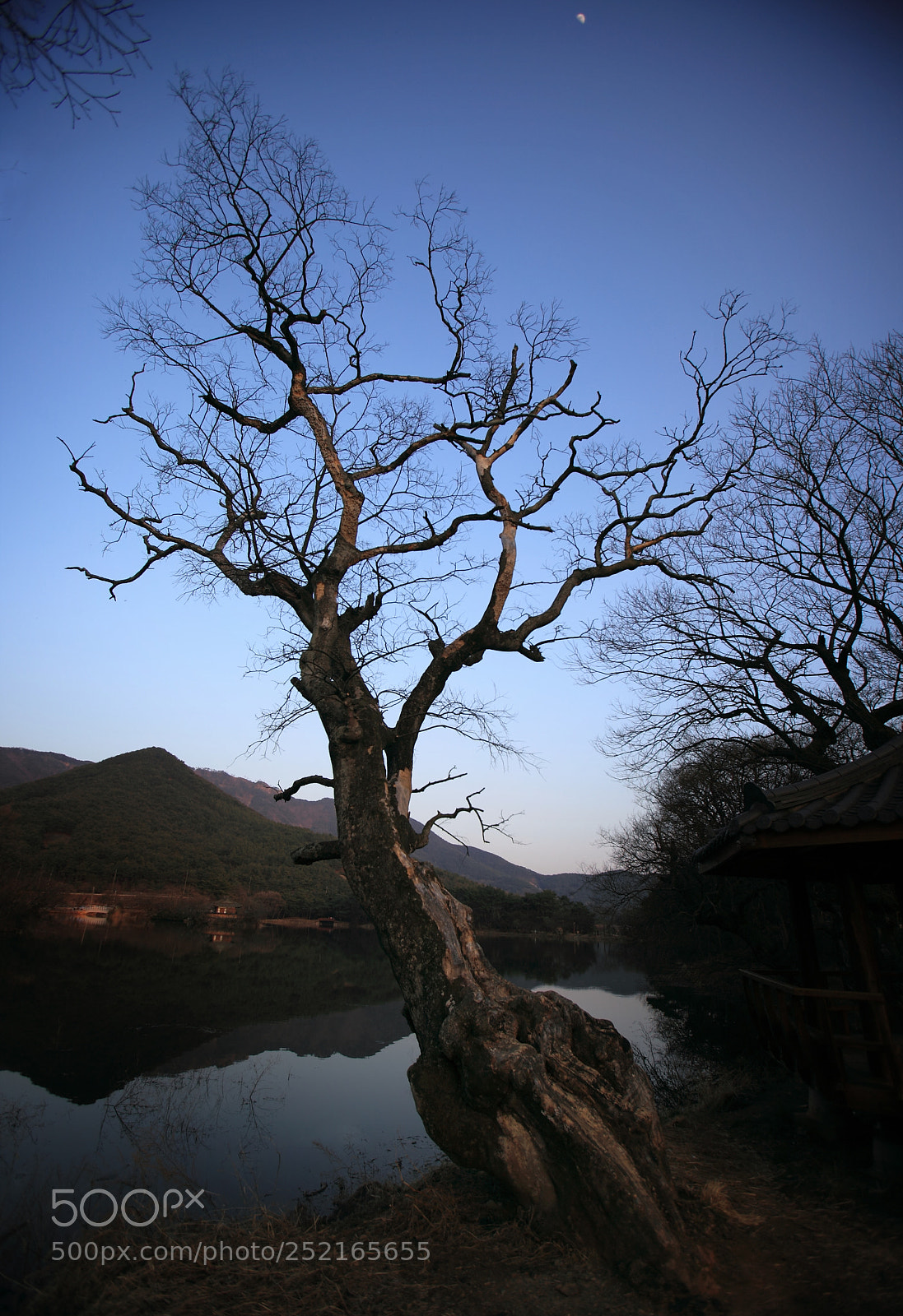 Canon EOS 5D Mark II sample photo. Another beginning photography