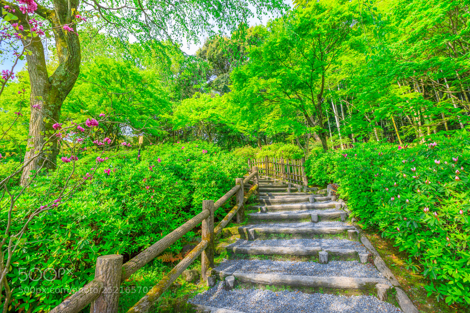 Canon EOS 5D Mark IV sample photo. Tenryu-ji temple garden photography