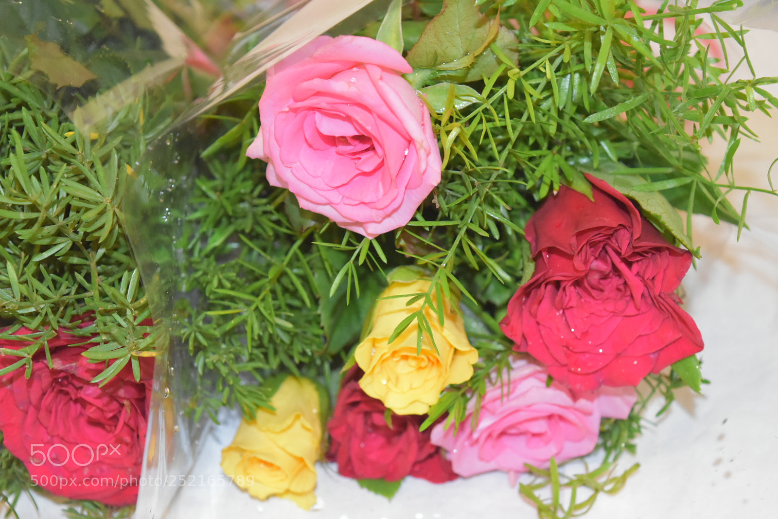 Nikon D5500 sample photo. Untitled photography