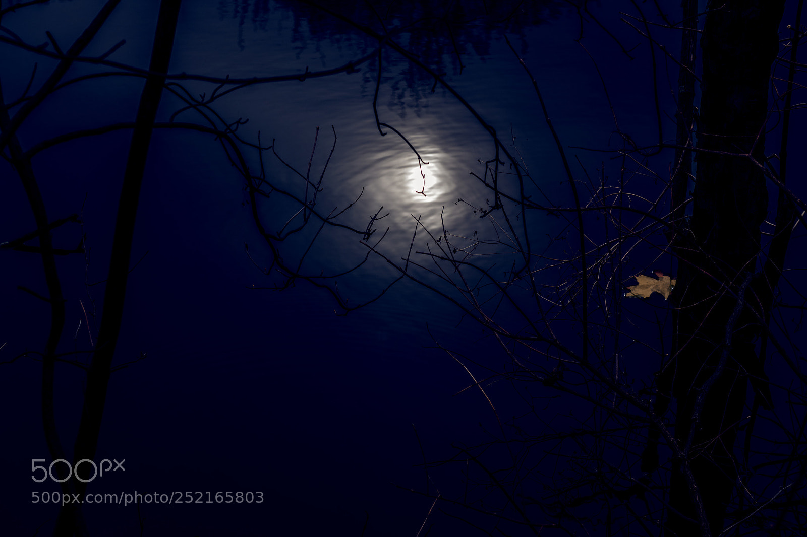 Nikon D850 sample photo. Reflections of the past photography