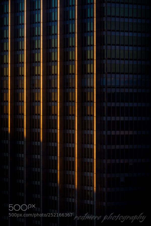 Canon EOS 5D Mark II sample photo. Light of day photography