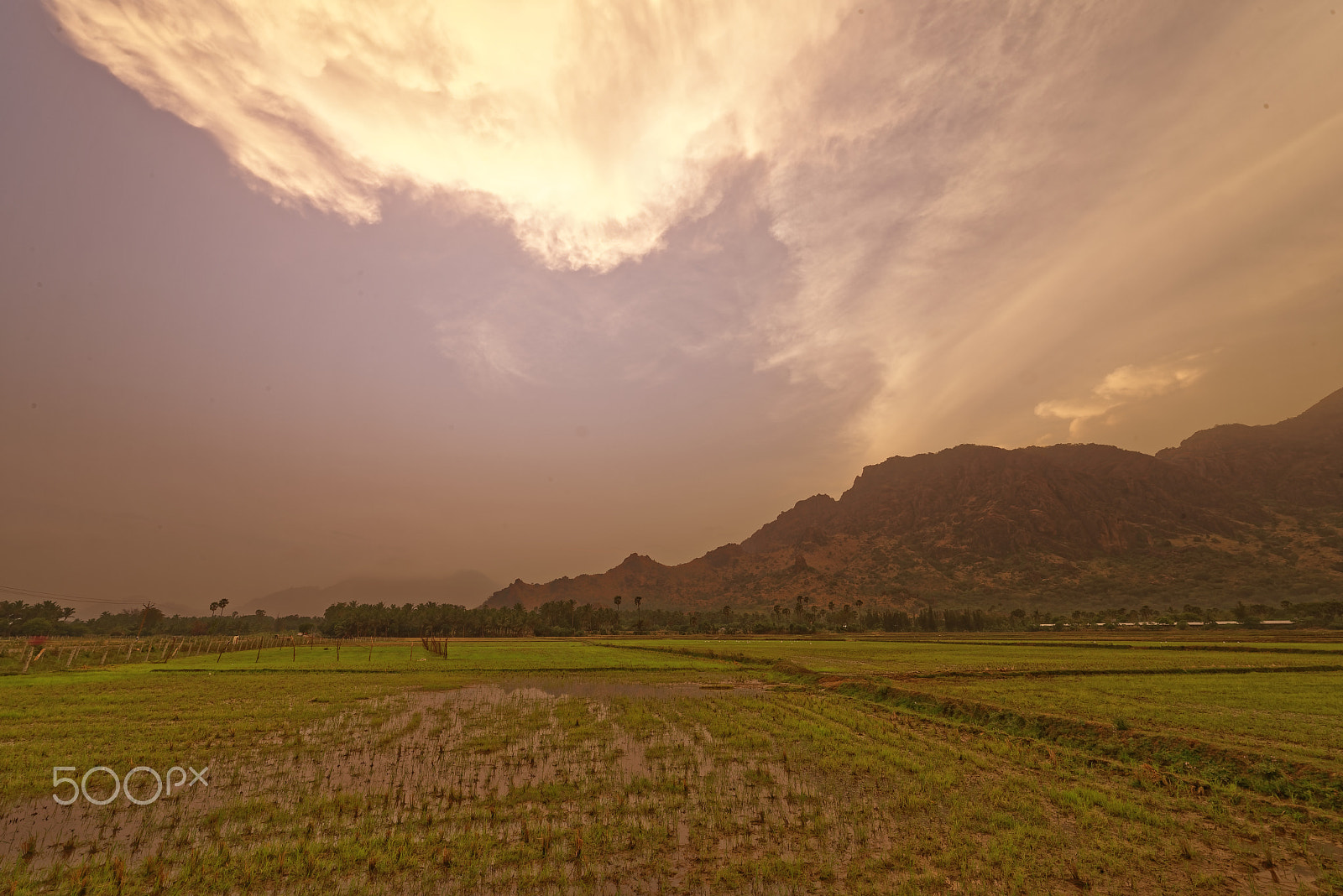 Nikon D750 + Nikon AF-S Nikkor 14-24mm F2.8G ED sample photo. Southern end of the western ghats 3 photography