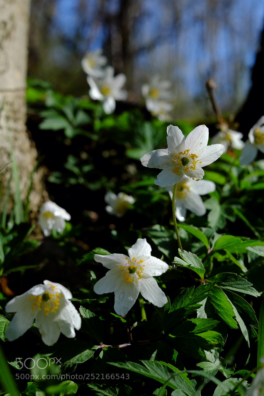 Fujifilm X-T10 sample photo. Untitled photography