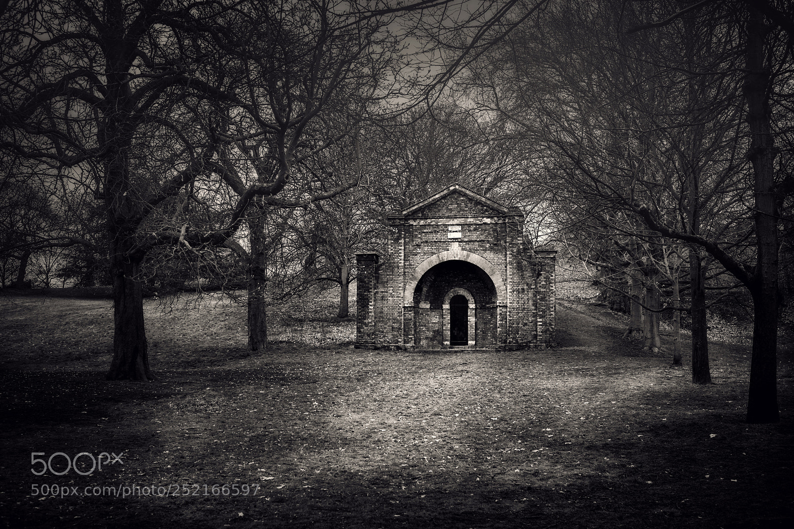 Sony a7 II sample photo. Greenwich park photography