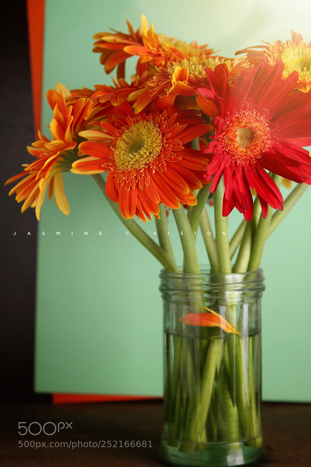 Canon EOS 750D (EOS Rebel T6i / EOS Kiss X8i) sample photo. Untitled photography