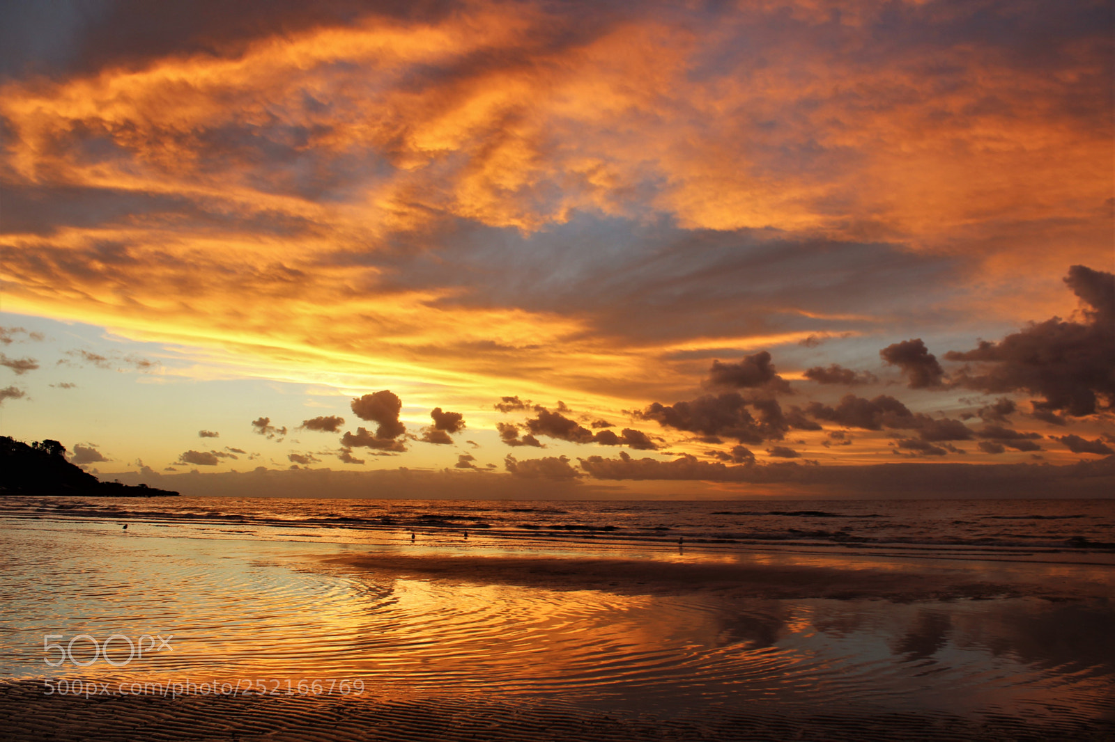 Canon EOS 600D (Rebel EOS T3i / EOS Kiss X5) sample photo. Golden sunset! photography