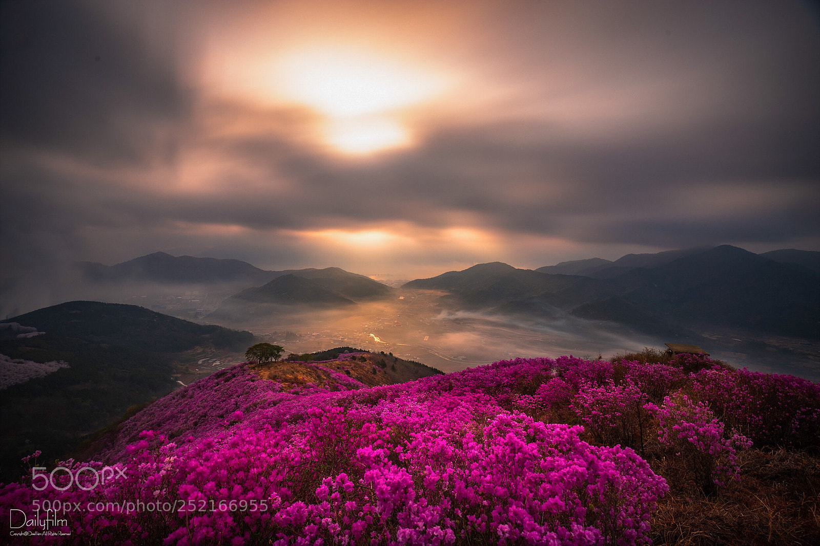 Canon EOS 6D Mark II sample photo. Azalea mountain  photography