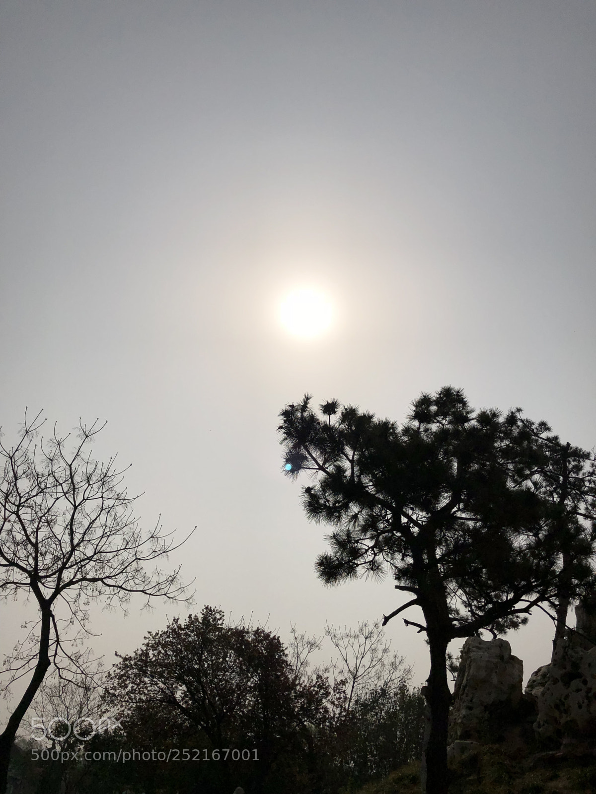 Apple iPhone X sample photo. Untitled photography
