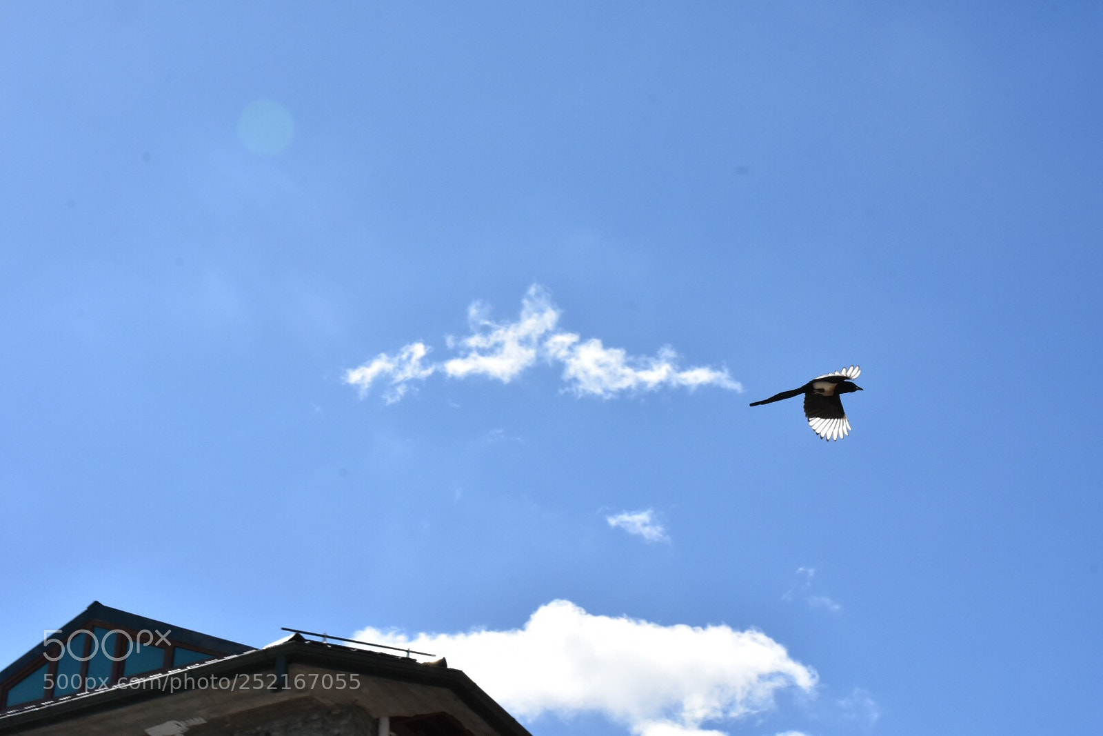 Nikon D7200 sample photo. Untitled photography