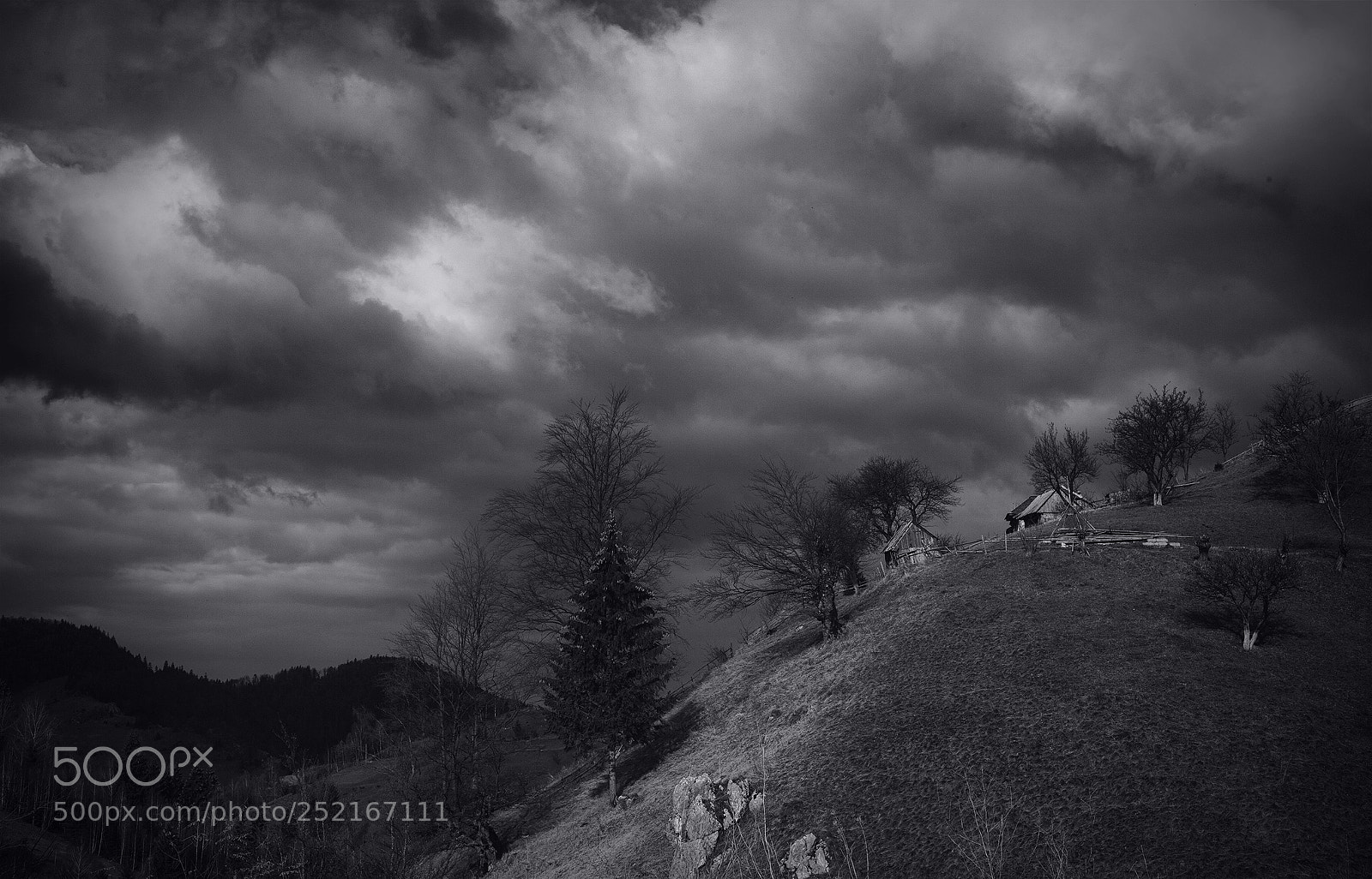 Canon EOS 5D Mark II sample photo. Highlands dark play photography