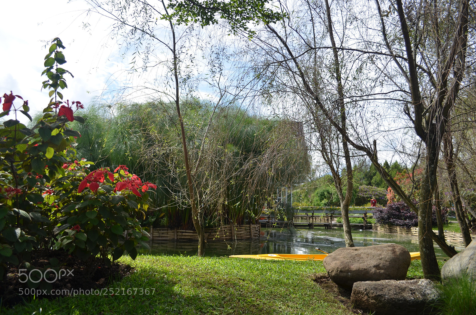 Nikon D5100 sample photo. Garden photography