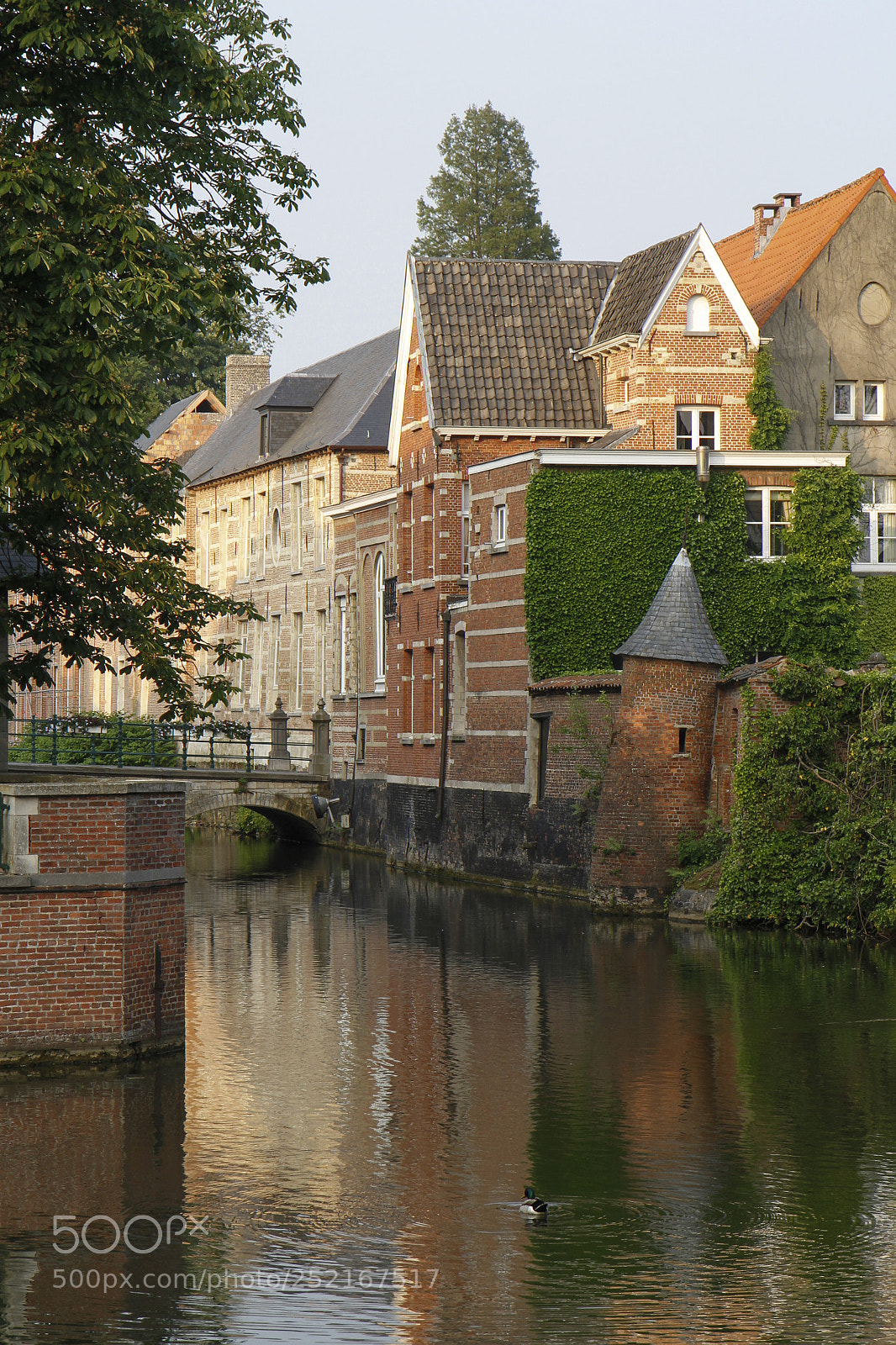 Canon EOS 7D sample photo. Lier binnen nete photography