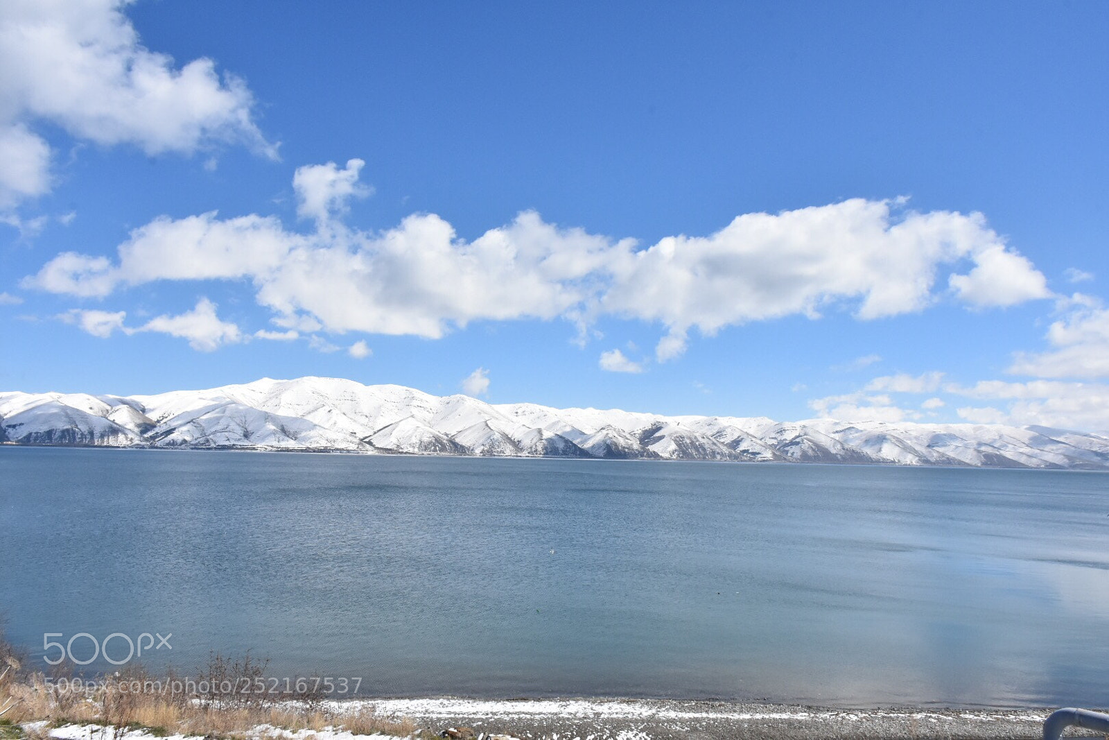 Nikon D7200 sample photo. Untitled photography