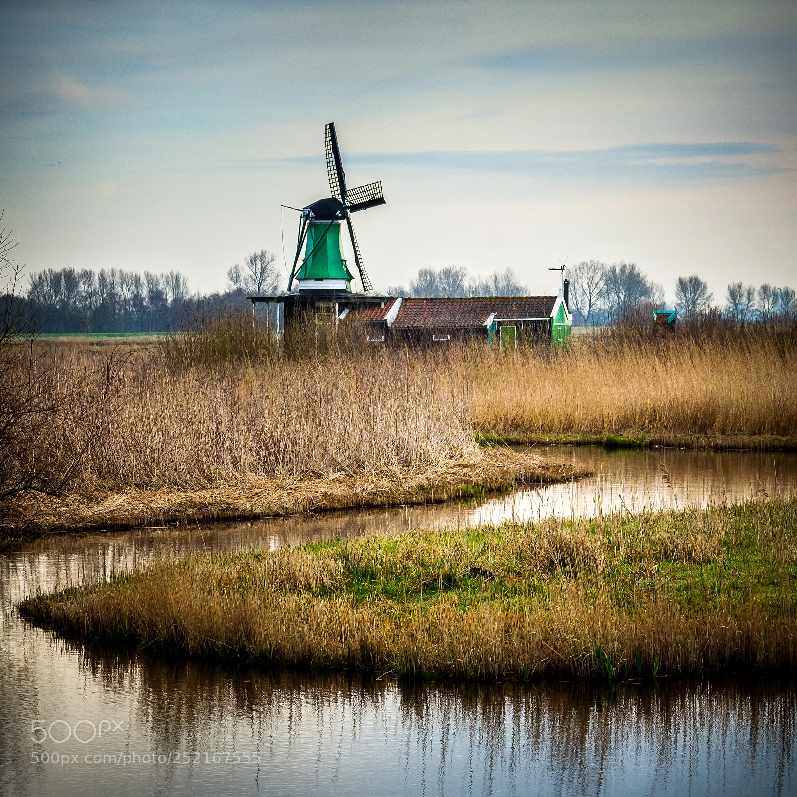 Nikon D7200 sample photo. Typical dutch photography