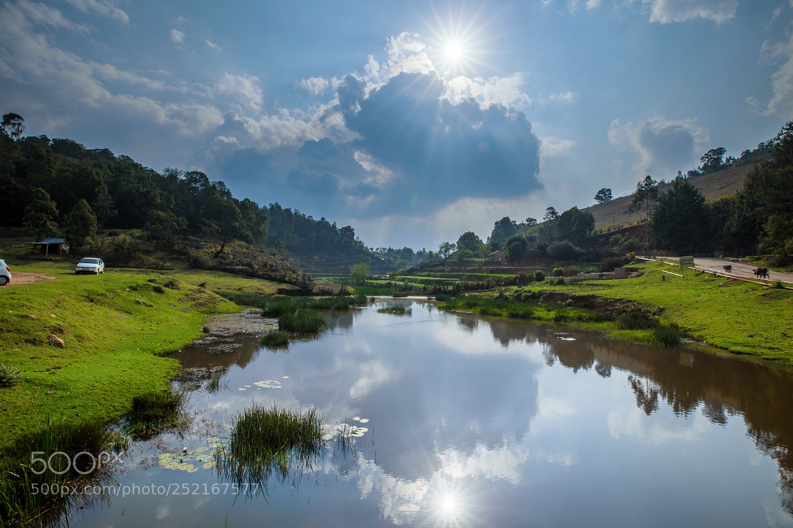 Canon EOS 5D Mark IV sample photo. Mannavanur photography