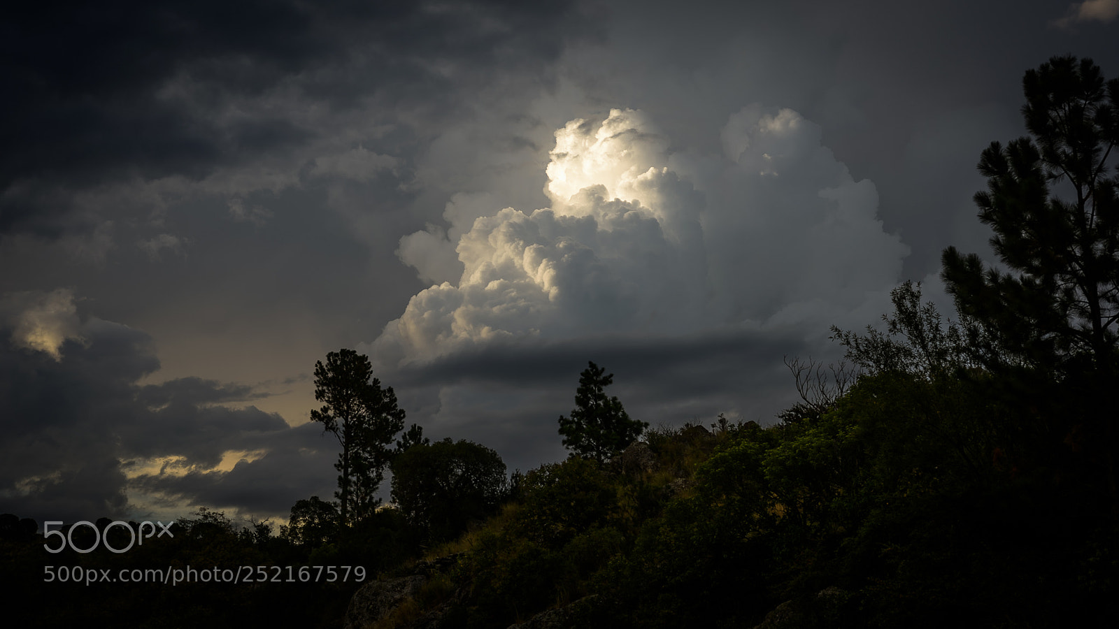 Nikon D810 sample photo. R o san jos photography