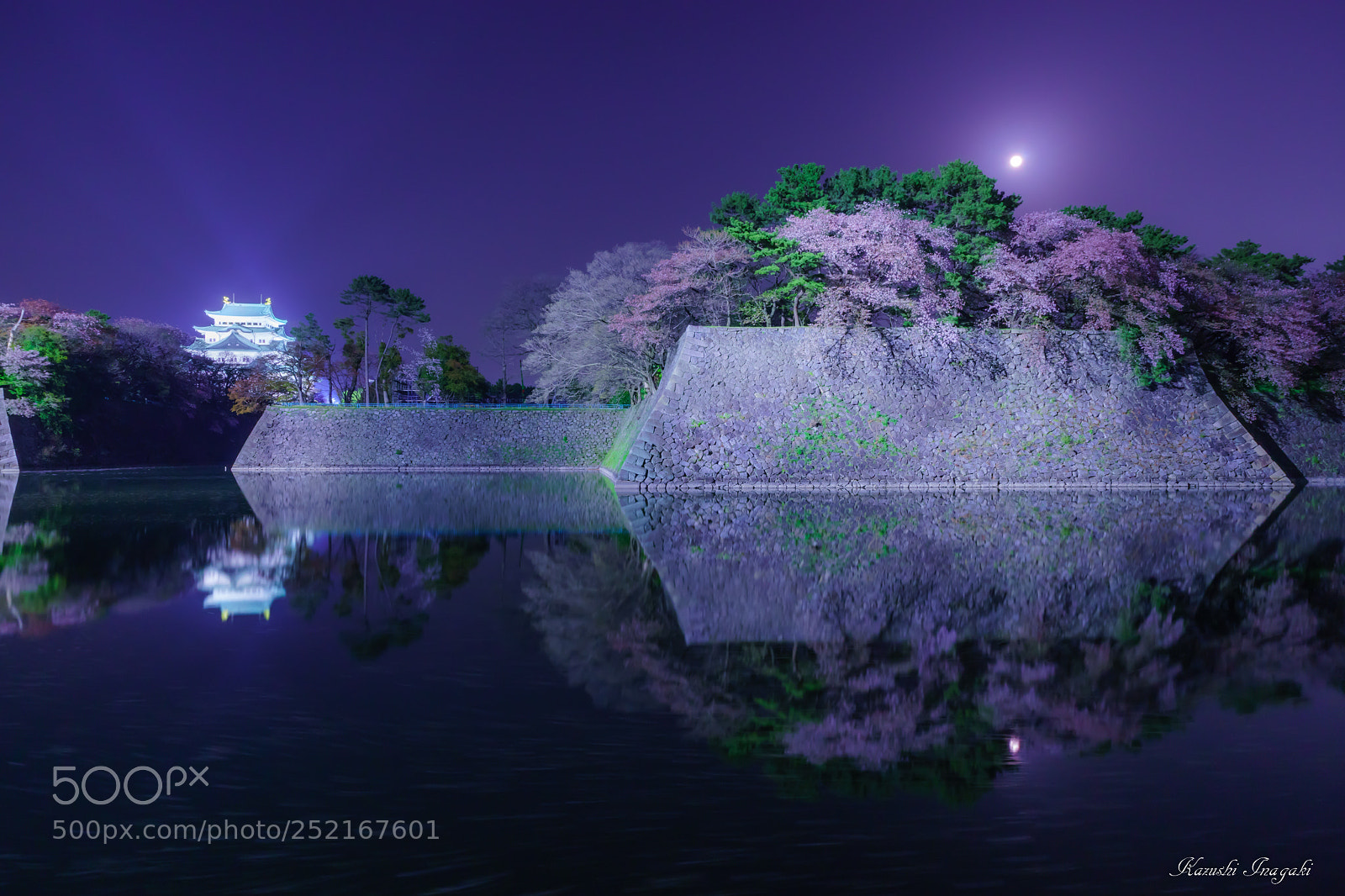 Sony SLT-A99V sample photo. Vs hikone photography