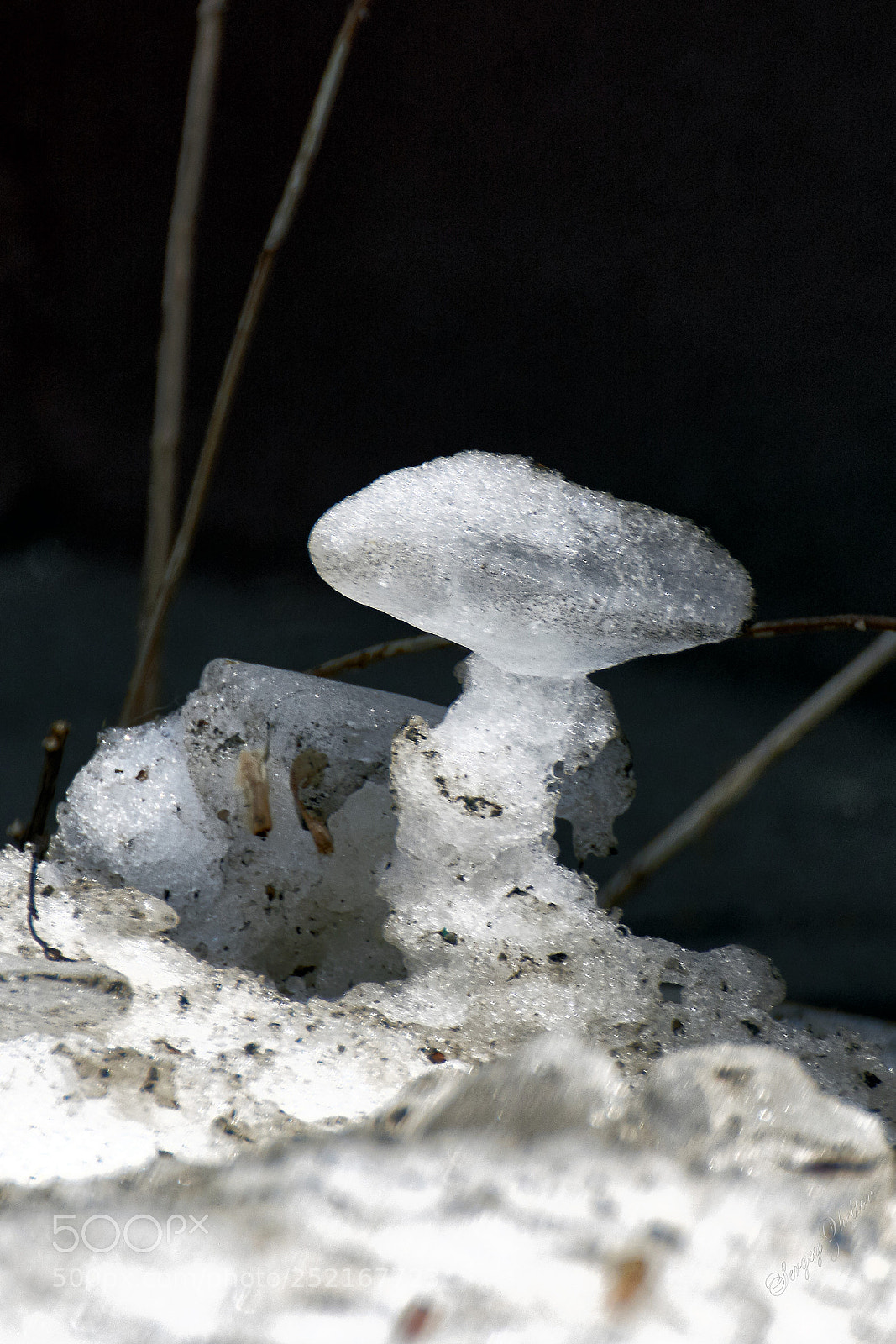 Nikon D7100 sample photo. Springtime photography