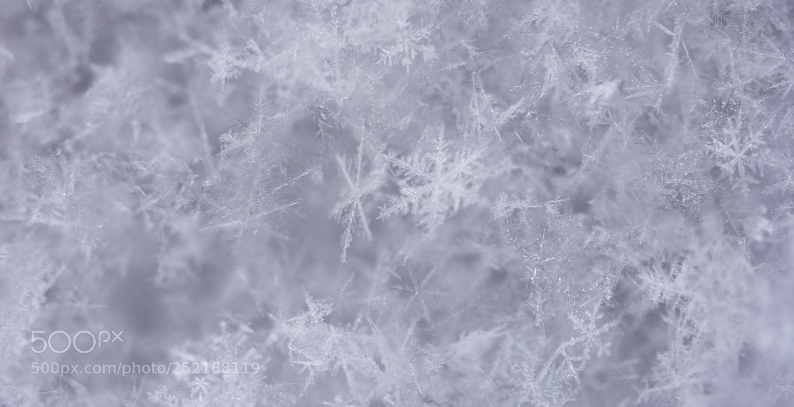 Nikon D7200 sample photo. Snowflakes photography