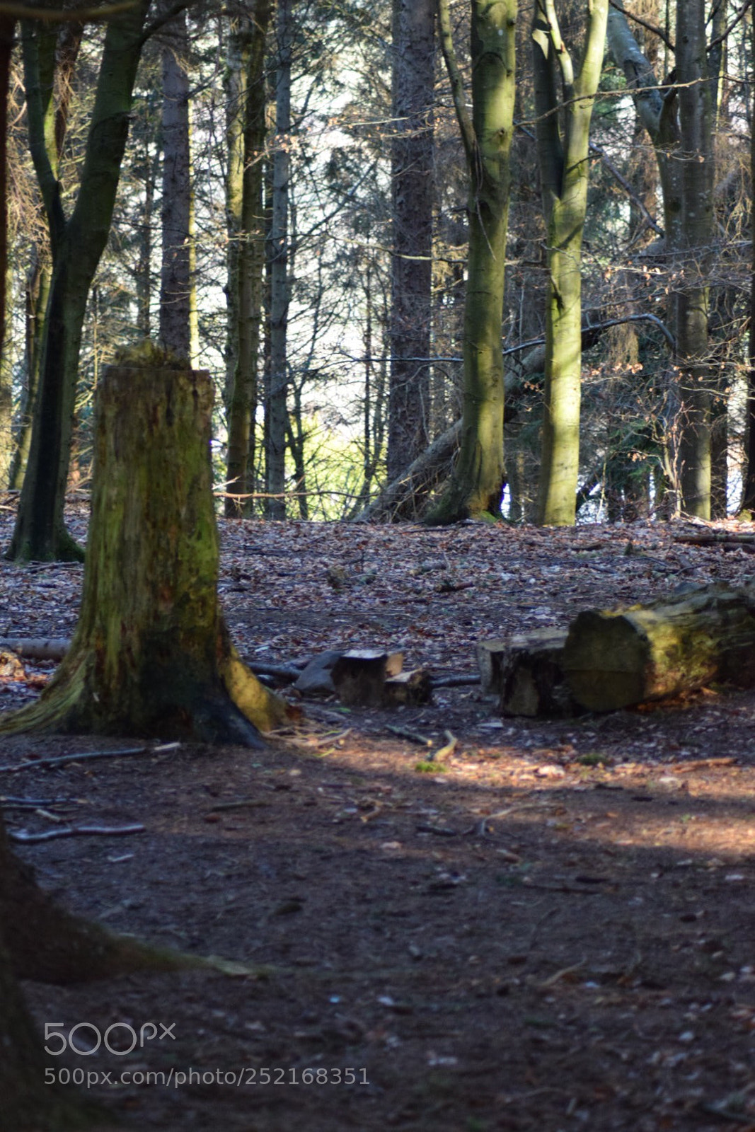 Nikon D5300 sample photo. Untitled photography