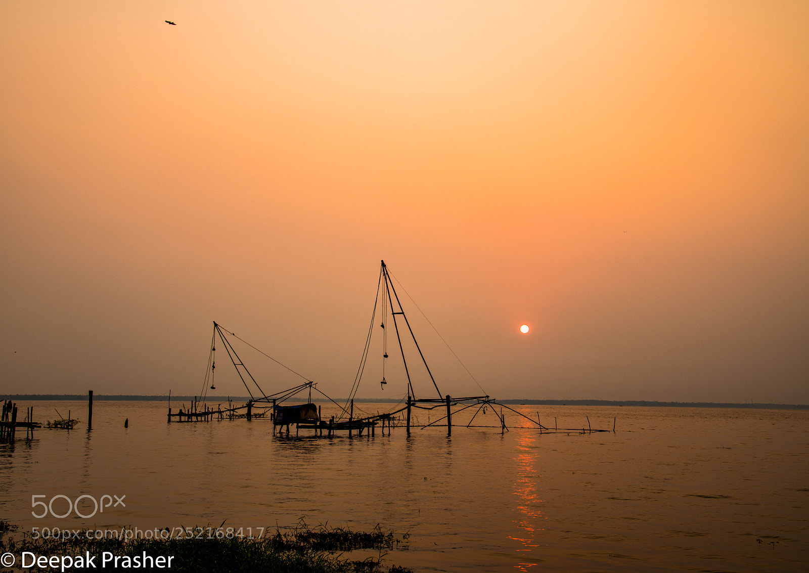 Nikon D850 sample photo. Chinese fishing photography