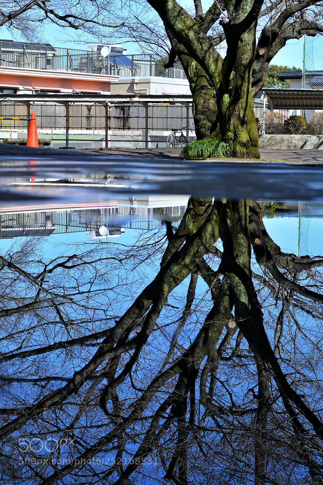 Nikon D7100 sample photo. Reverse photography