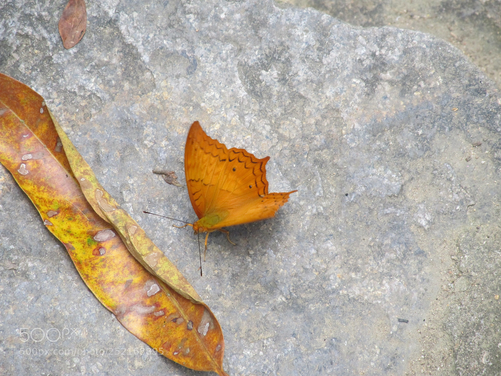 Canon PowerShot SX130 IS sample photo. ТХФ Хайнань photography