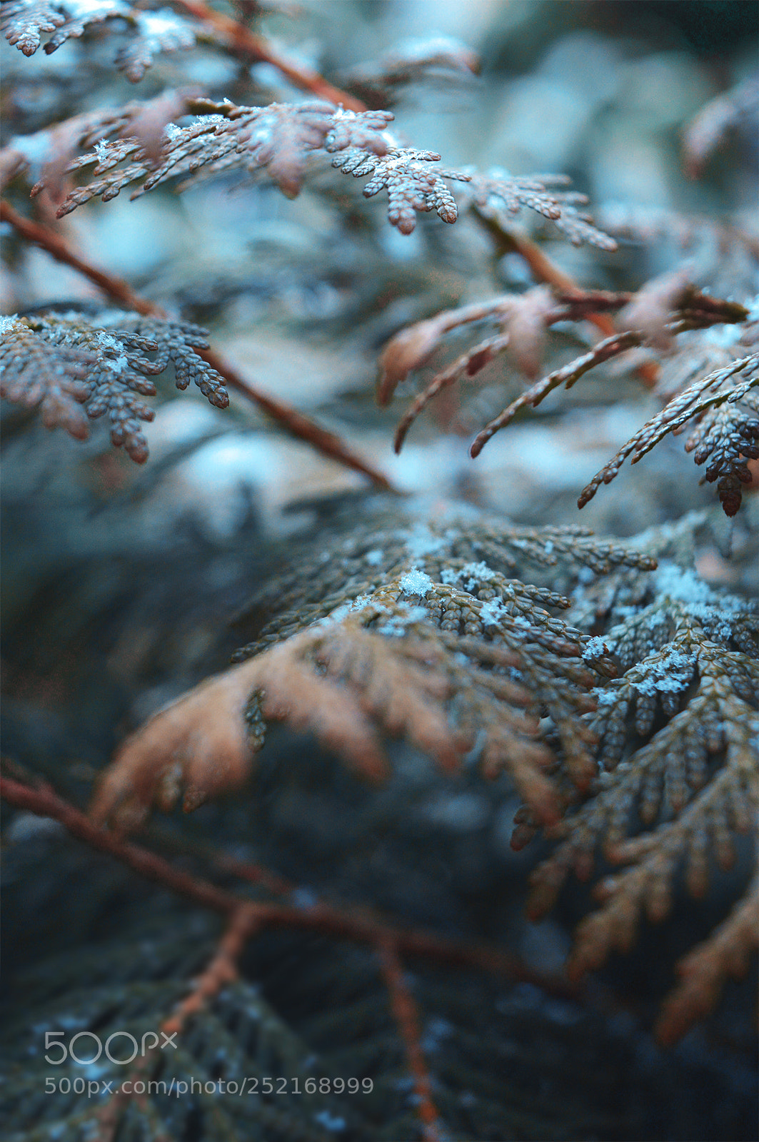 Nikon D3200 sample photo. Covered by photography