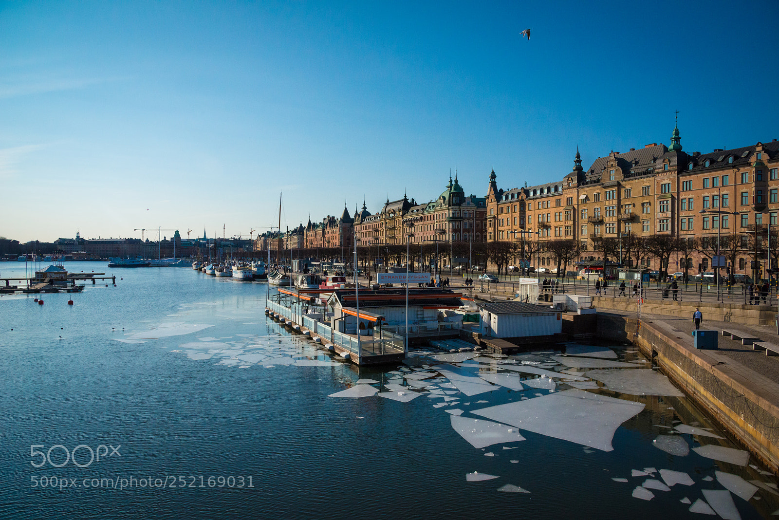 Nikon D800 sample photo. Stockholm photography