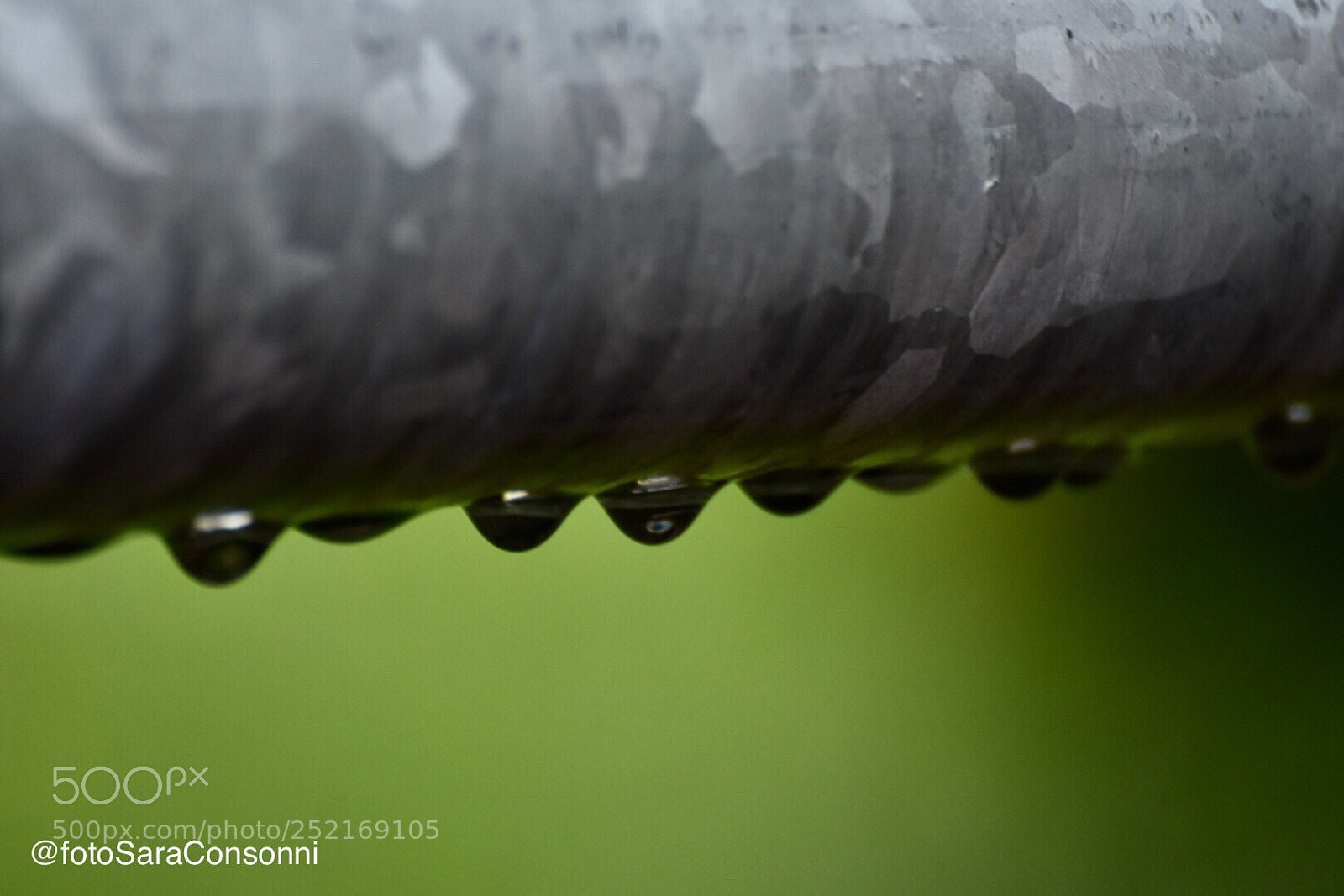 Nikon D7200 sample photo. Gocce
 photography