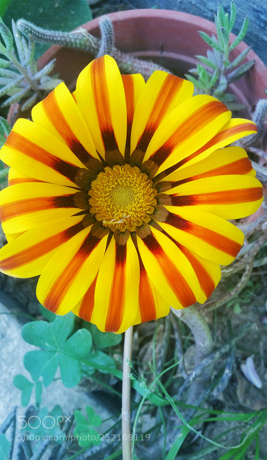 Samsung Galaxy S5 sample photo. Untitled photography