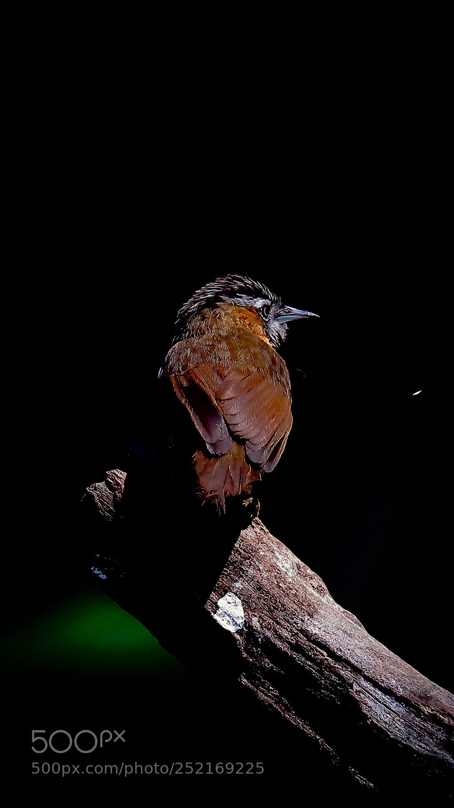 Canon EOS 5DS sample photo. Untitled photography