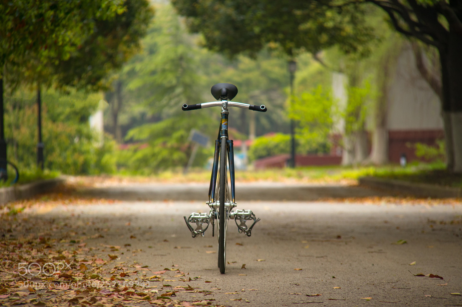 Canon EOS 80D sample photo. Bicycle photography