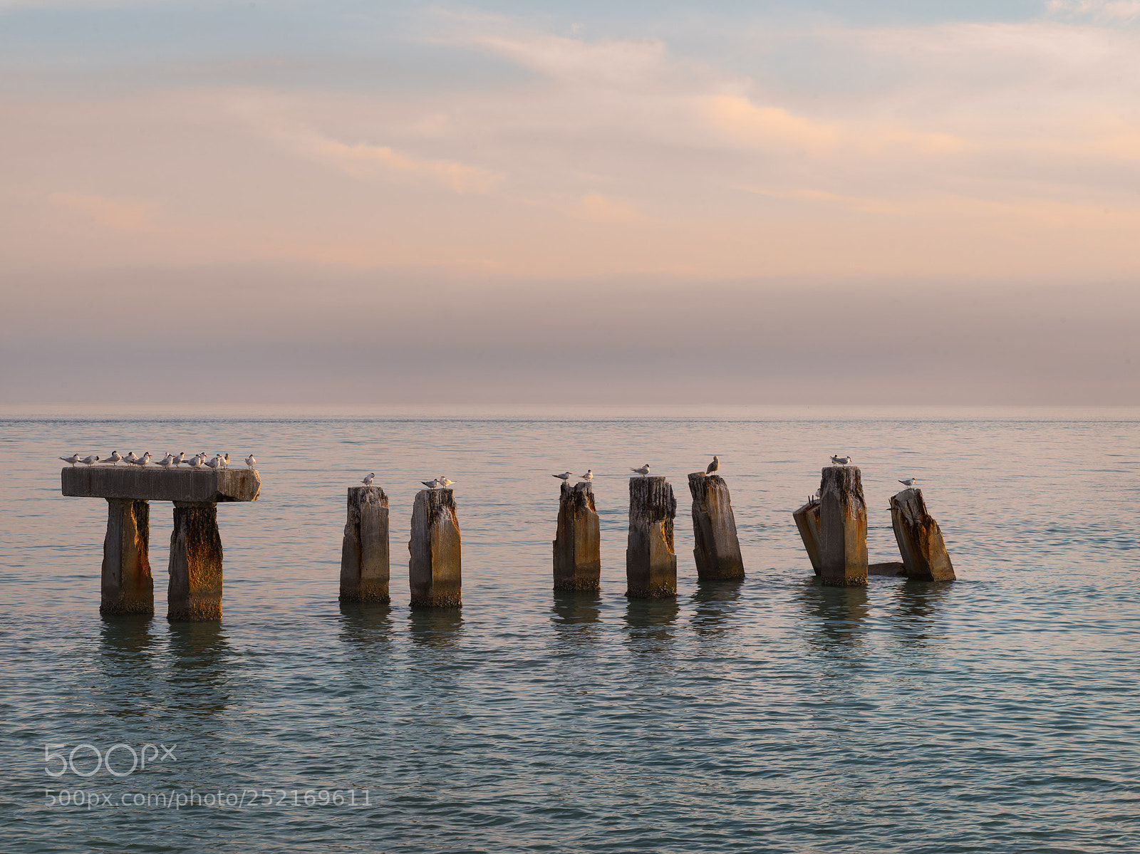 Hasselblad X1D-50c sample photo. Old pier photography