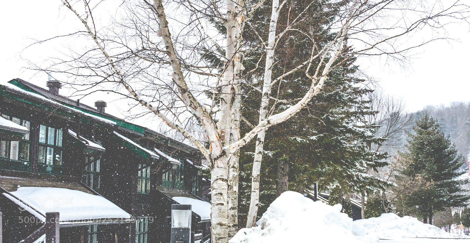 Nikon D7200 sample photo. Snowfall at hidden valley photography