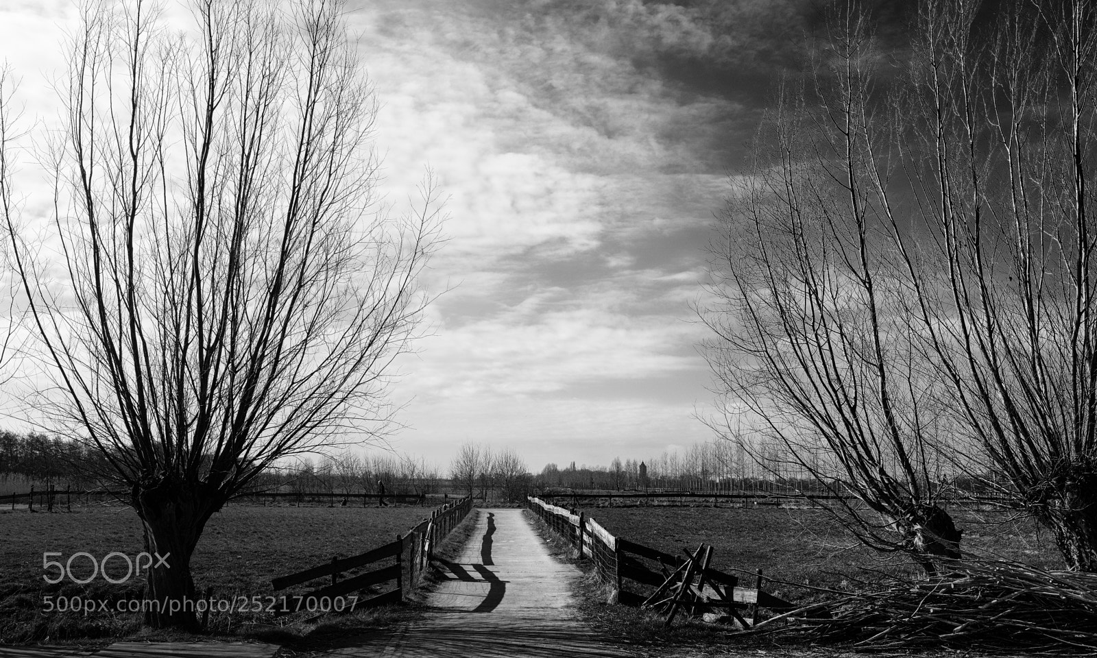 Fujifilm X-T20 sample photo. Dutch landscape photography