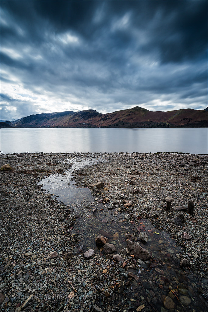 Nikon D810 sample photo. Last refuge photography