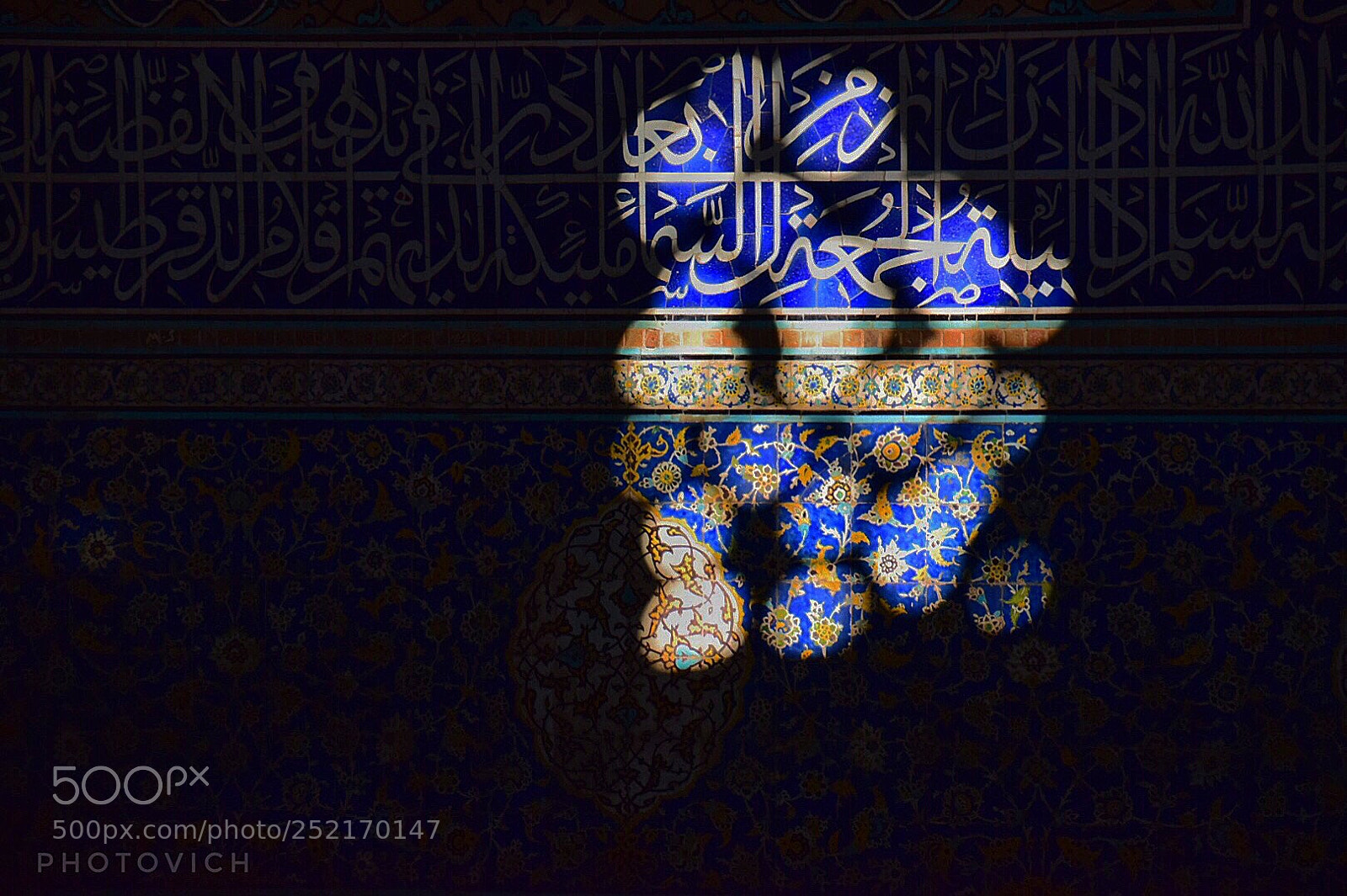 Nikon D5300 sample photo. Untitled photography