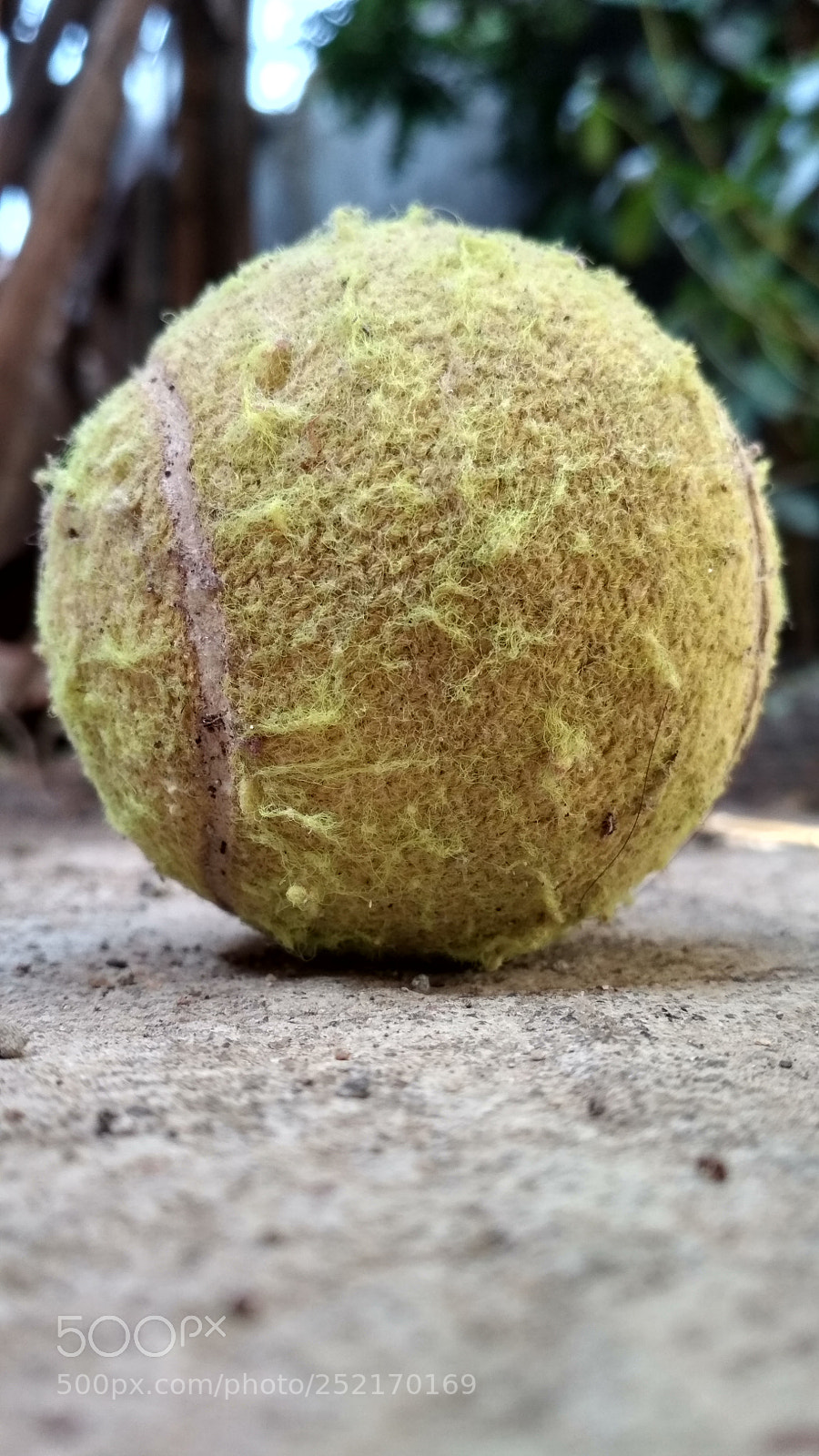 Xiaomi Redmi 4 Pro sample photo. Bokeh with ball photography