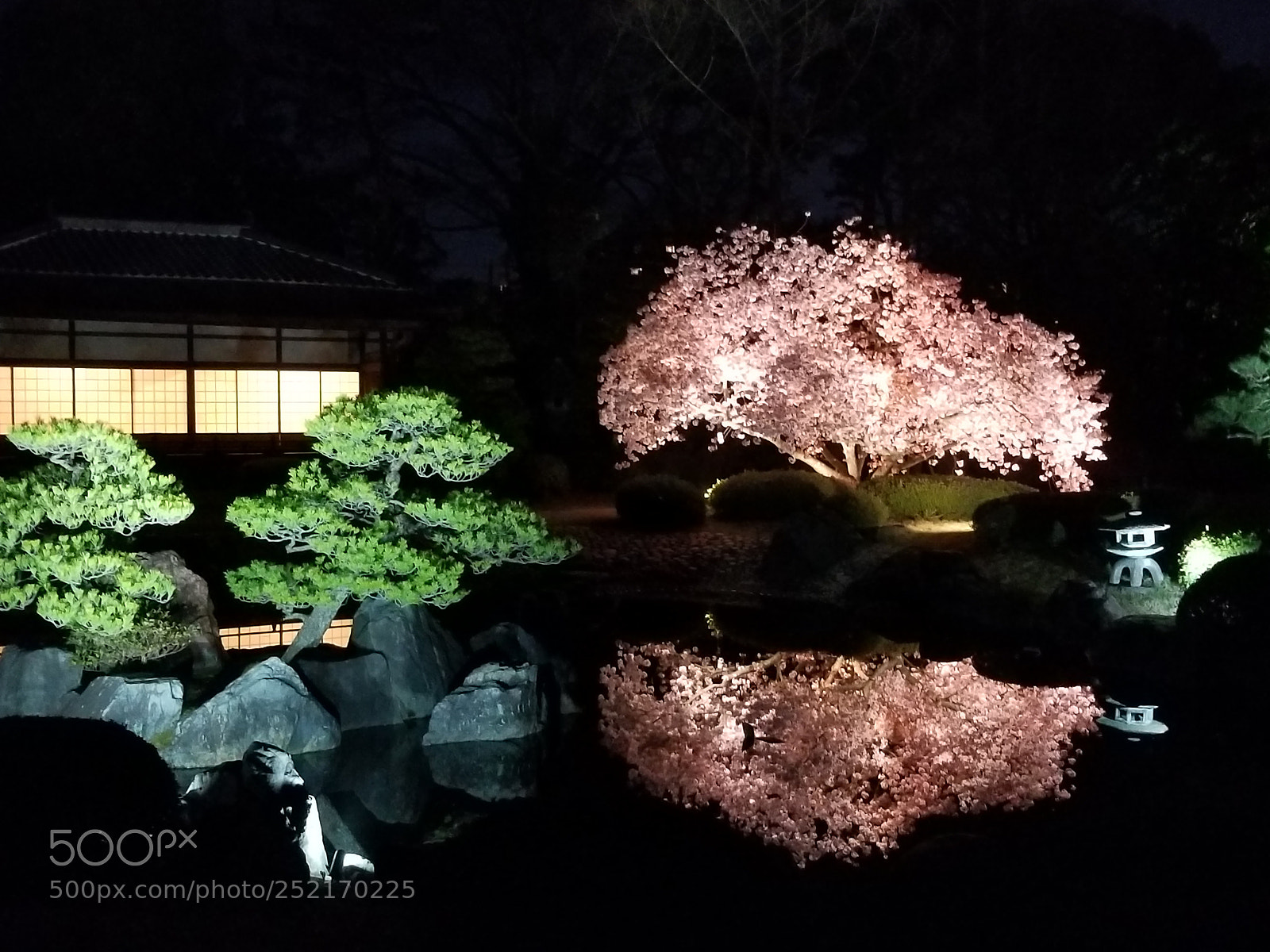 Samsung Galaxy S8+ sample photo. Reflection photography