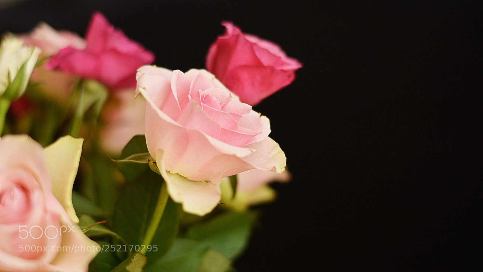 Nikon D5200 sample photo. Bunch of roses photography