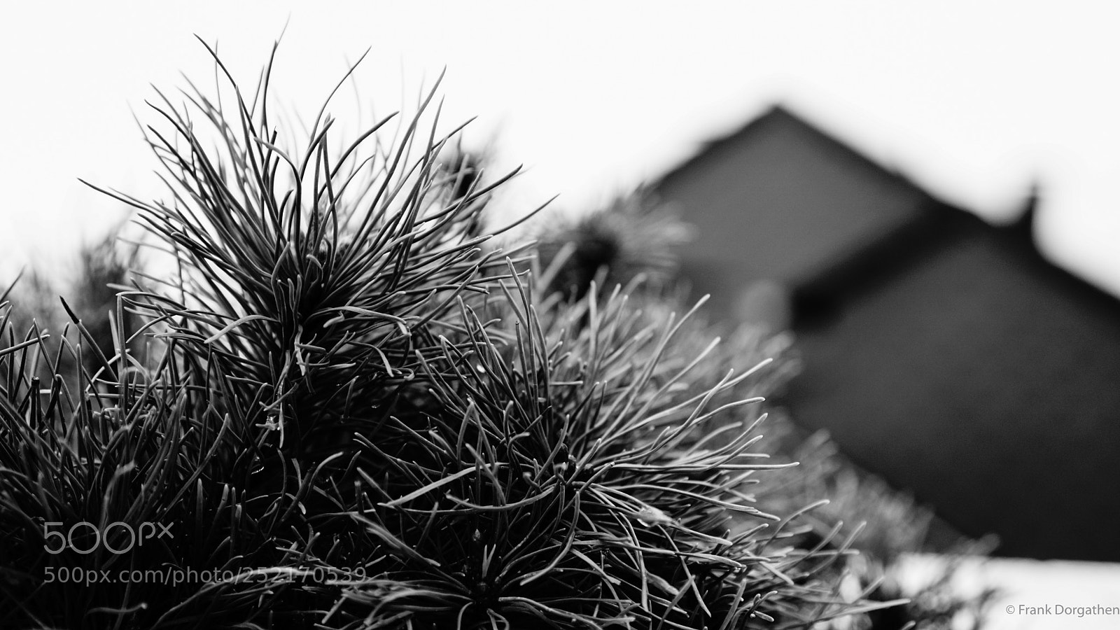 Sony a6000 sample photo. In the past even photography