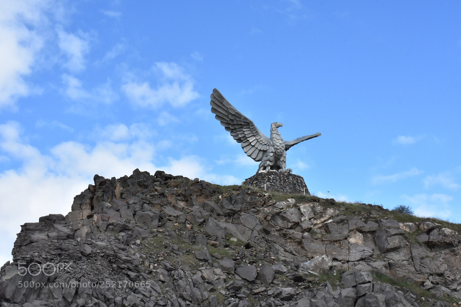 Nikon D7200 sample photo. Fly high , head photography