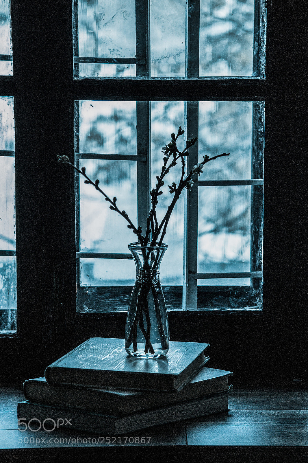 Nikon D3100 sample photo. Vase photography