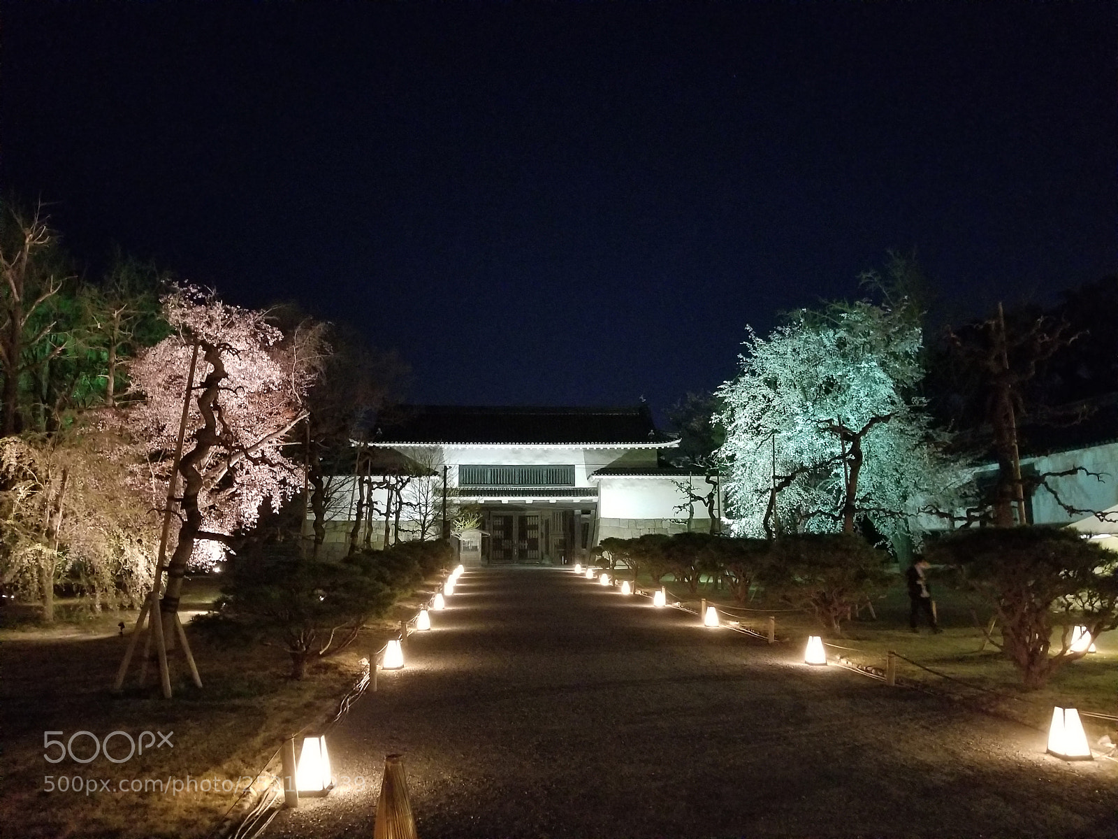 Samsung Galaxy S8+ sample photo. Pathway photography