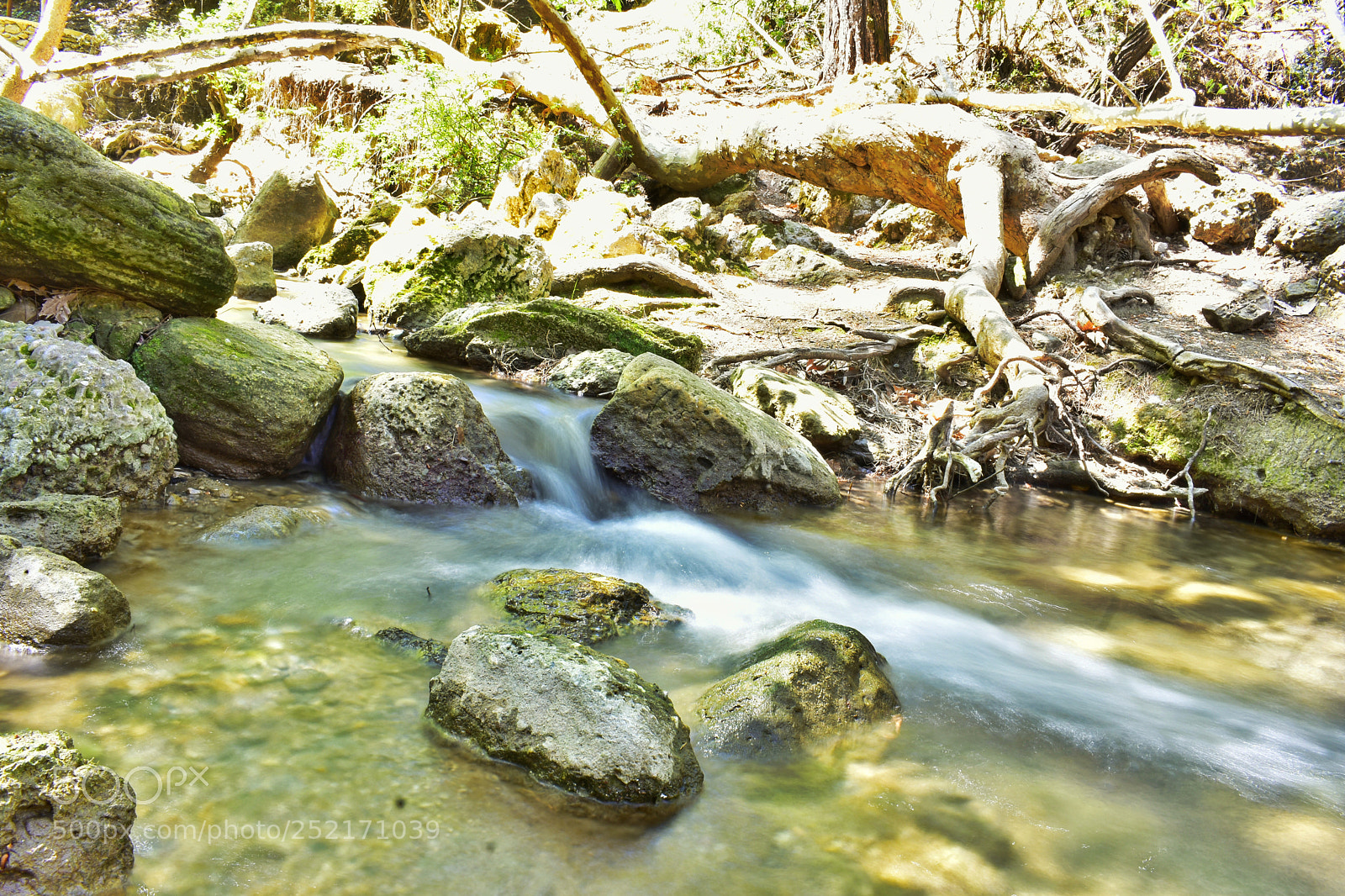 Nikon D3400 sample photo. Untitled photography