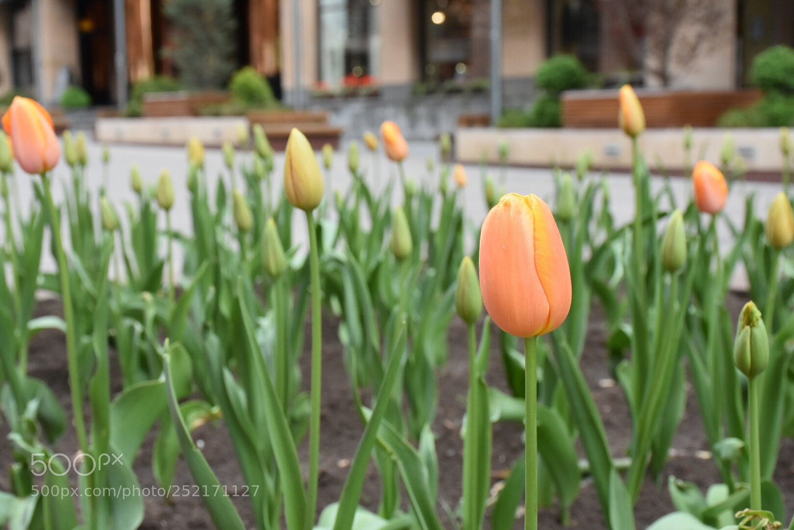 Nikon D7200 sample photo. Until the next,,, we photography