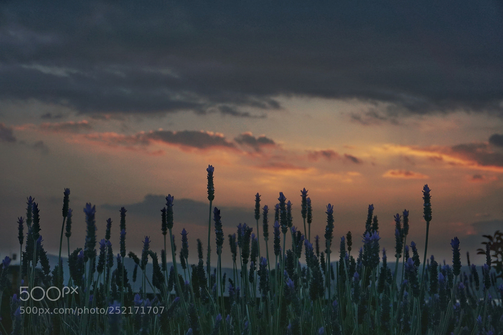Sony a6000 sample photo. Sunset glow photography
