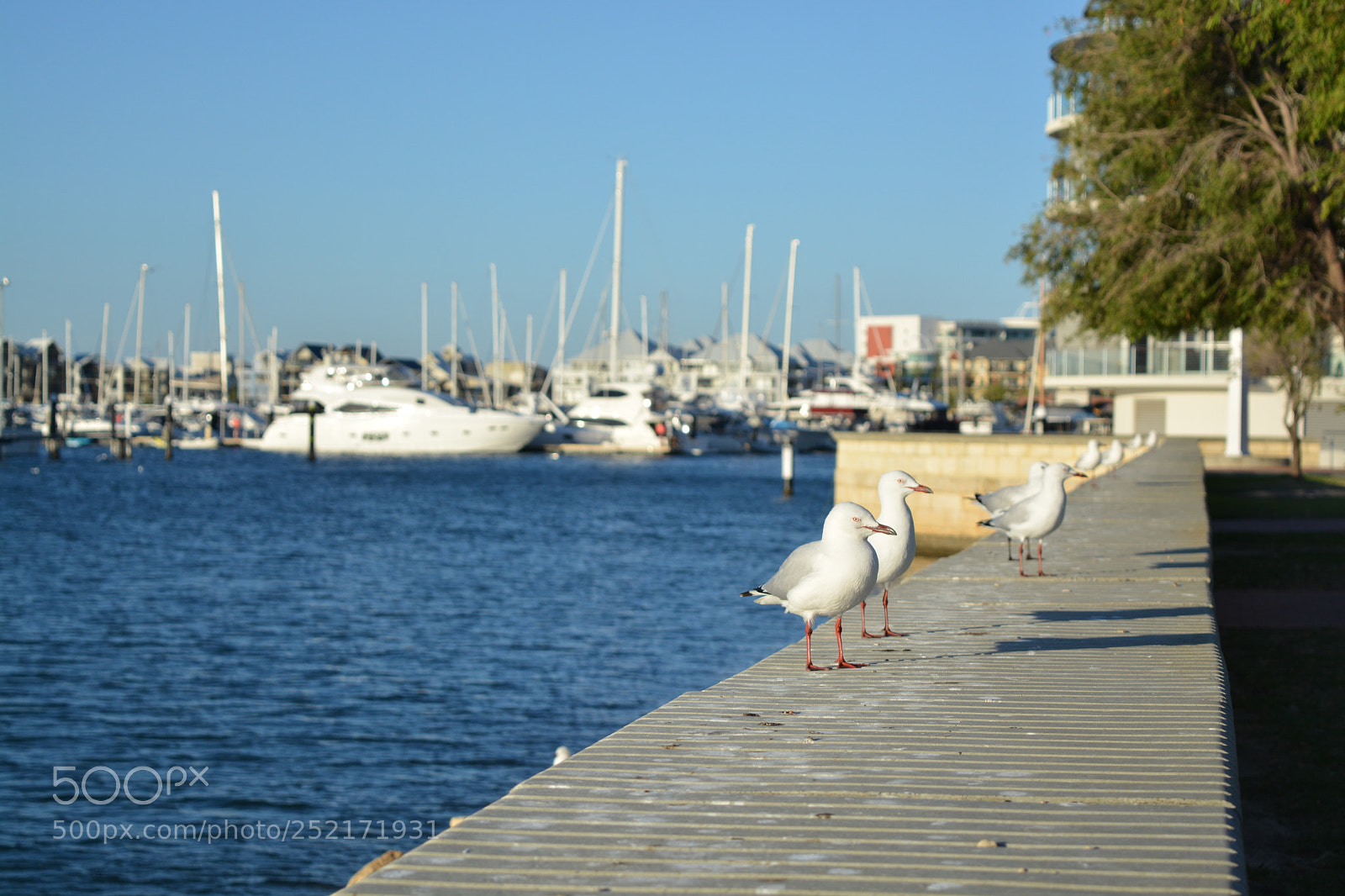Nikon D5200 sample photo. Mandurah marina photography