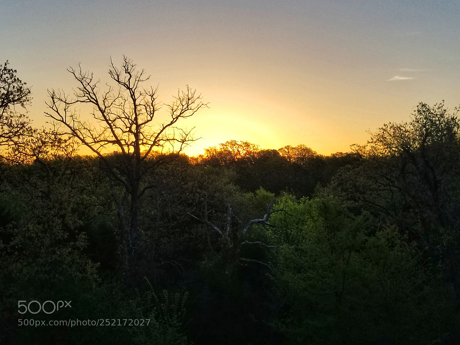 Samsung Galaxy S8+ sample photo. Sunrise in texas photography